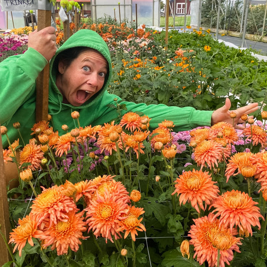 The Crop Report | It's All About the Mums