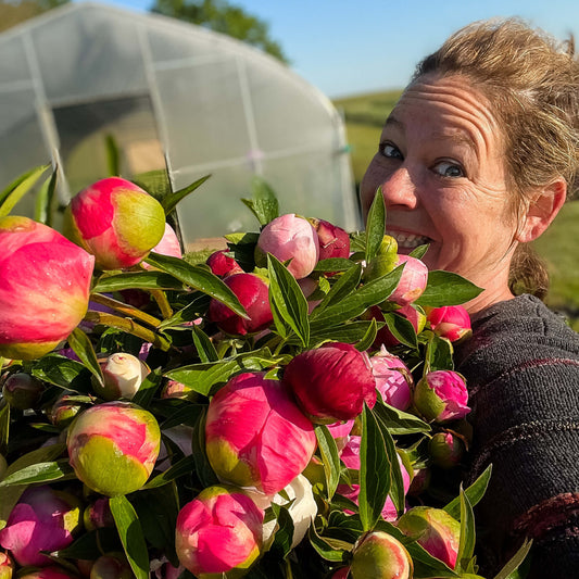 The Crop Report: Week 20 | Peony Pickin'