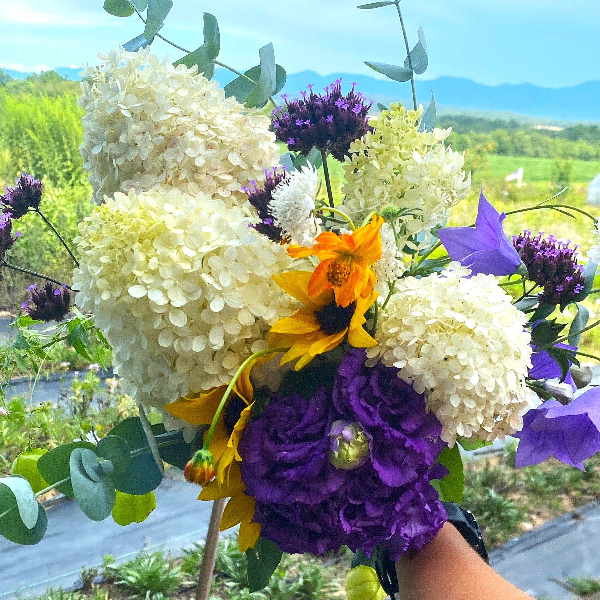 Real Lessons from a Flower Farmer