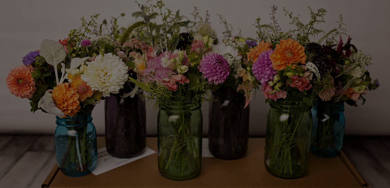 Bulk DIY Wedding Flowers – Harmony Harvest Farm