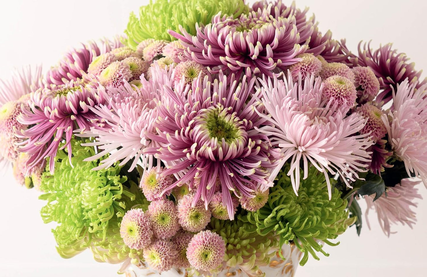 Chrysanthemums: Beautiful Varieties for Home and Garden - Hardcover