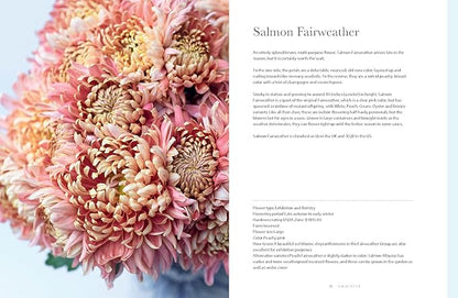 Chrysanthemums: Beautiful Varieties for Home and Garden - Hardcover