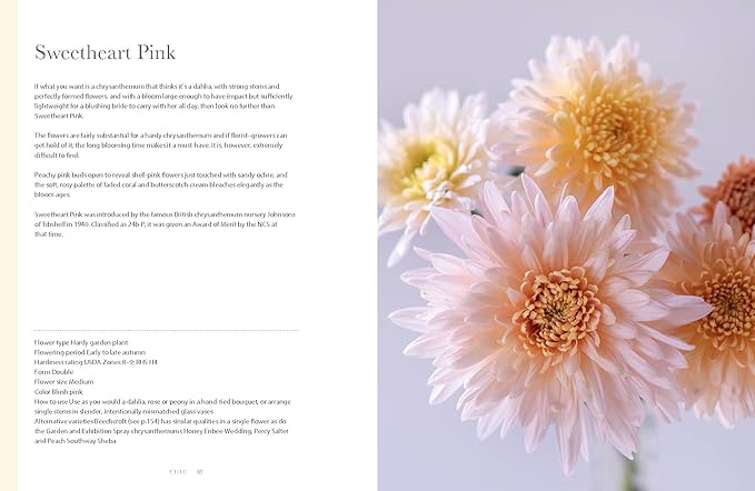 Chrysanthemums: Beautiful Varieties for Home and Garden - Hardcover