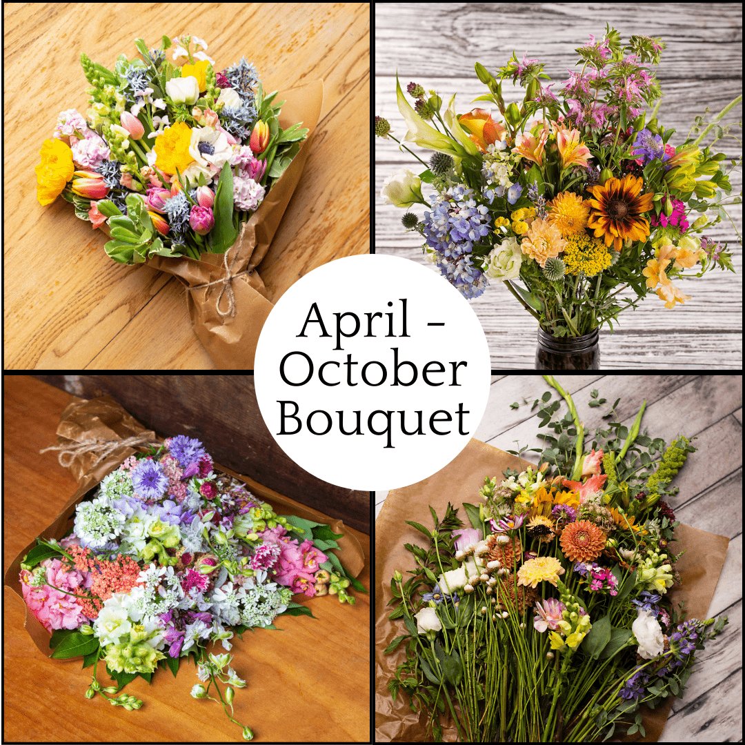 Farmhouse Bouquet Year-Round Subscription