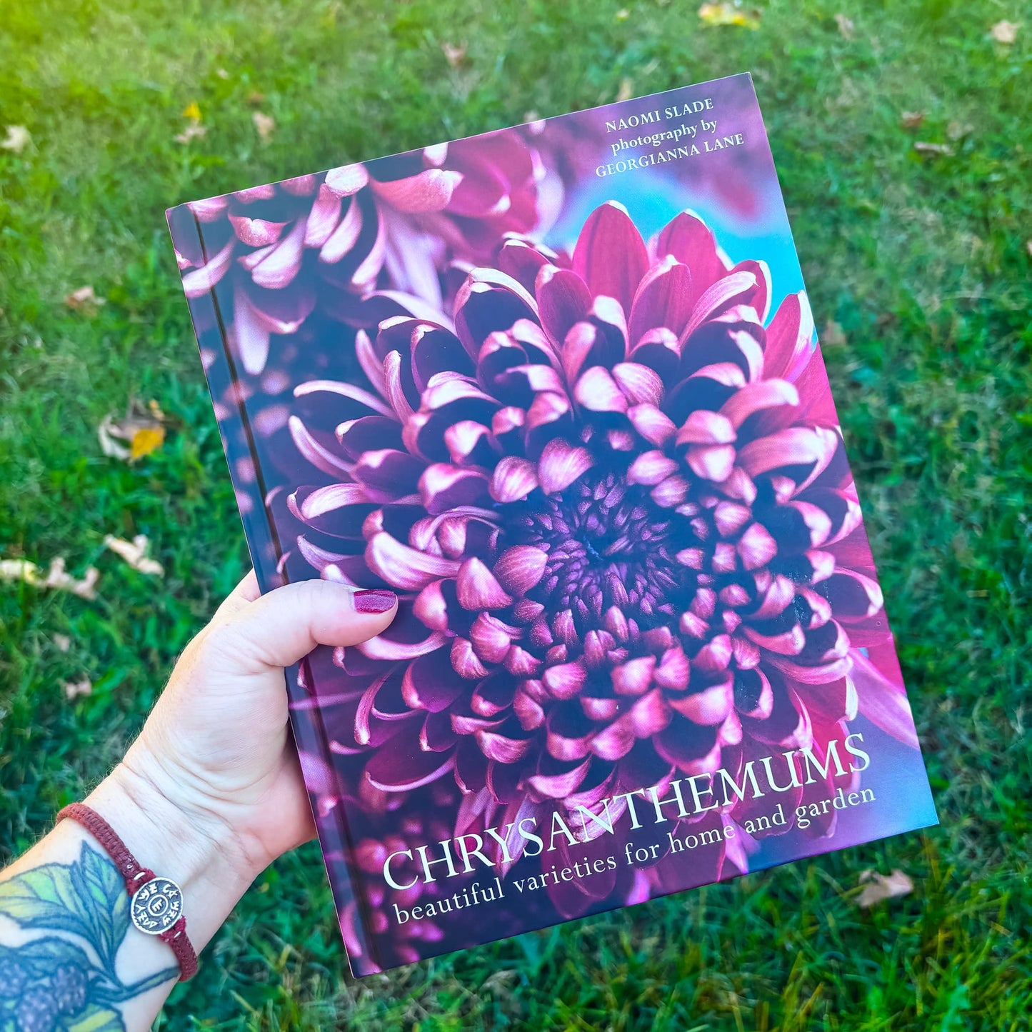 Chrysanthemums: Beautiful Varieties for Home and Garden - Hardcover