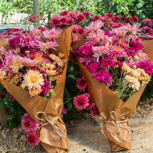 The Mum Bouquet