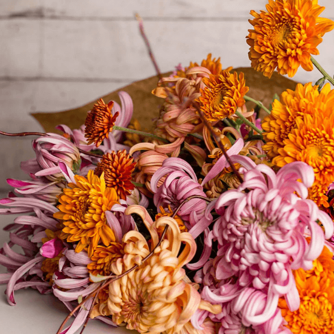 The Mum Bouquet